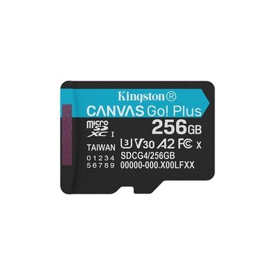 Cartão de Memória Kingston Canvas Go! Plus| KaBuM!
