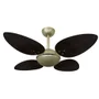 Ventilador De Teto Volare Gold Office Petalo/4 Tabaco 127V