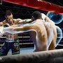 Creed Rise To Glory  vr  - Ps4