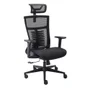 Cadeira De Escritorio Ergonômica Elements Vertta Pro, Até 150Kg, Preto - 70046