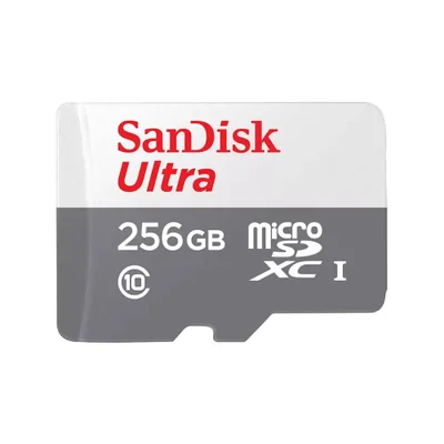 Carto De Memória Sandisk Microsd 256GB KaBuM