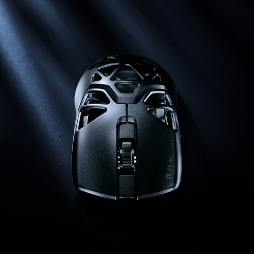 Razer Viper Mini Signature Edition レビュー – DPQP