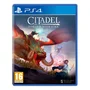 Jogo Citadel Forged With Fire Ps4 Peji