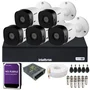 Kit Cftv 5 Câmeras Alta Qualidade Intelbras Full Hd 1220b Dvr Intelbras 08 Canais 1108-c C/hd 2TB Purple Instalado.