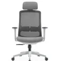 Cadeira De Escritório Ergonômica Aurove 188a Neo Gray