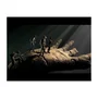 Jogo The Dark Pictures: House Of Ashes XBOX One Americano